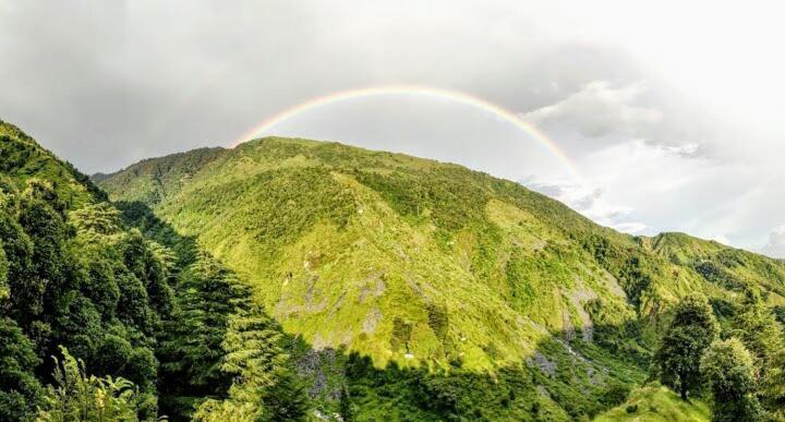 Be Happy Homestay マクロード・ガンジ エクステリア 写真